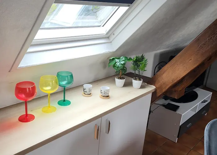 Le 61 - Hyper Centre - Wifi